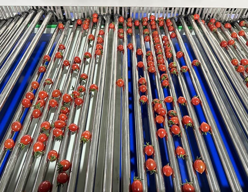 images/1684309186552Clasificador de rodillos ajustable.jpg